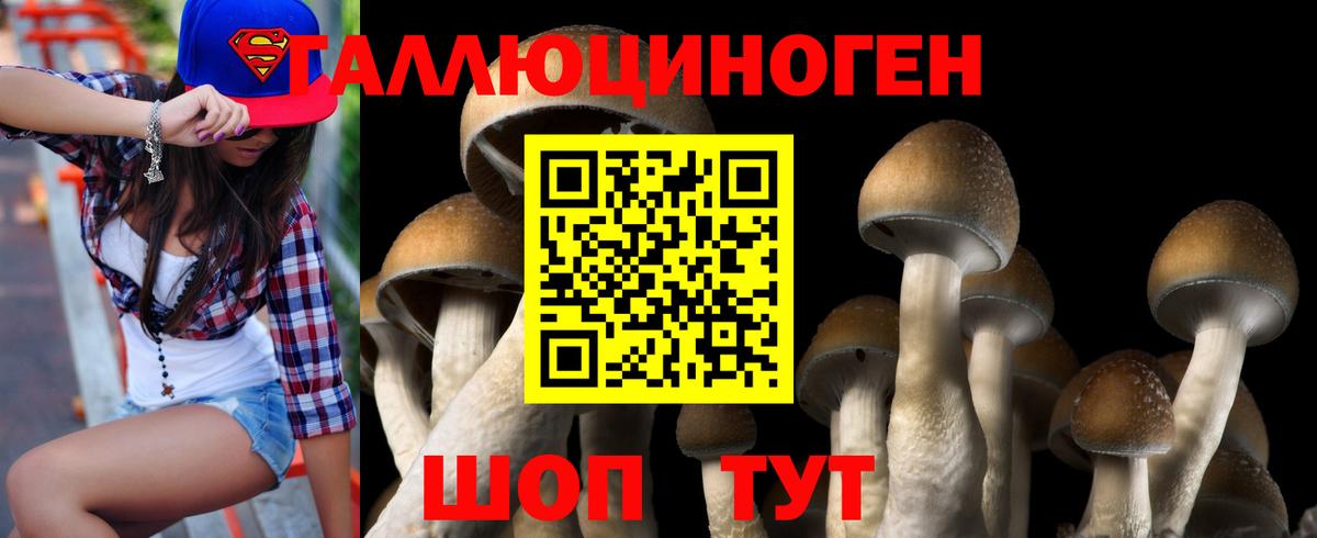 Галлюциногенные грибы мухоморы  Галлюциногенные грибы прущие грибы  Вход с VPN  Южно-Сахалинск 